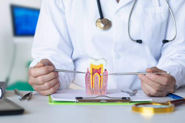 Best Emergency Root Canal Treatment in Cassopolis, MI